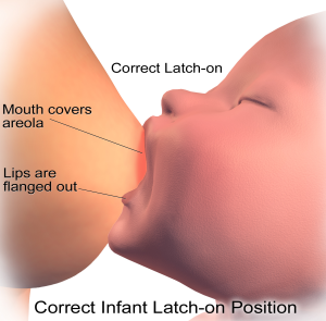 breastfeeding correct latch